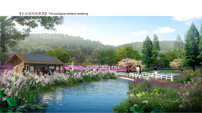 叙永县分水镇龙洞村水生态综合利用基地建设工程设计